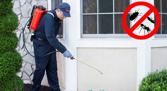 Erdemli Akrep İlaçlama böcek ilaçlama ve haşere kontrolü — ilaclama-tr.com